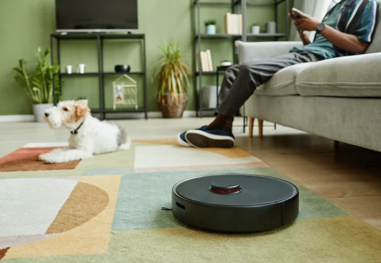 Smart Home Robot Vacuum Cleaner 19 Livene Shop - Premium Lifestyle Products &Amp; Essentials